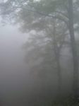 100609_140207.jpg