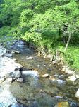 Image1123.jpg
